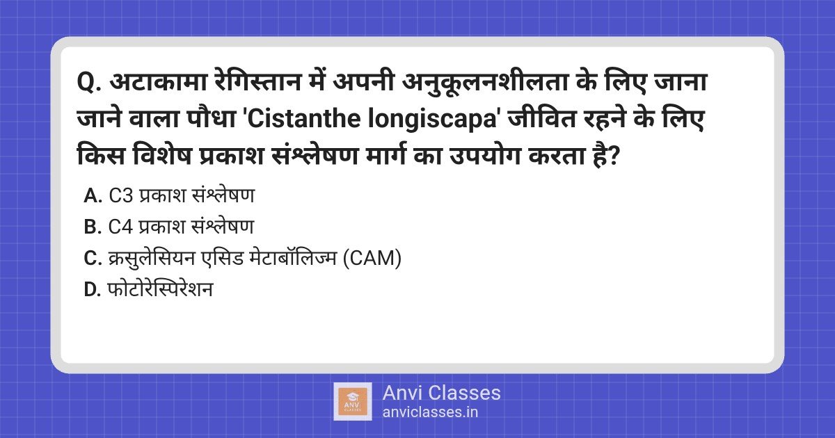 Cistanthe longiscapa: Atacama Desert Photosynthesis