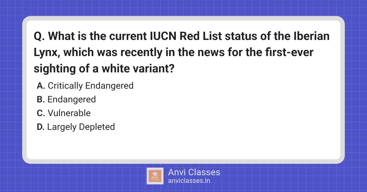 Iberian Lynx IUCN Red List Status: Vulnerable
