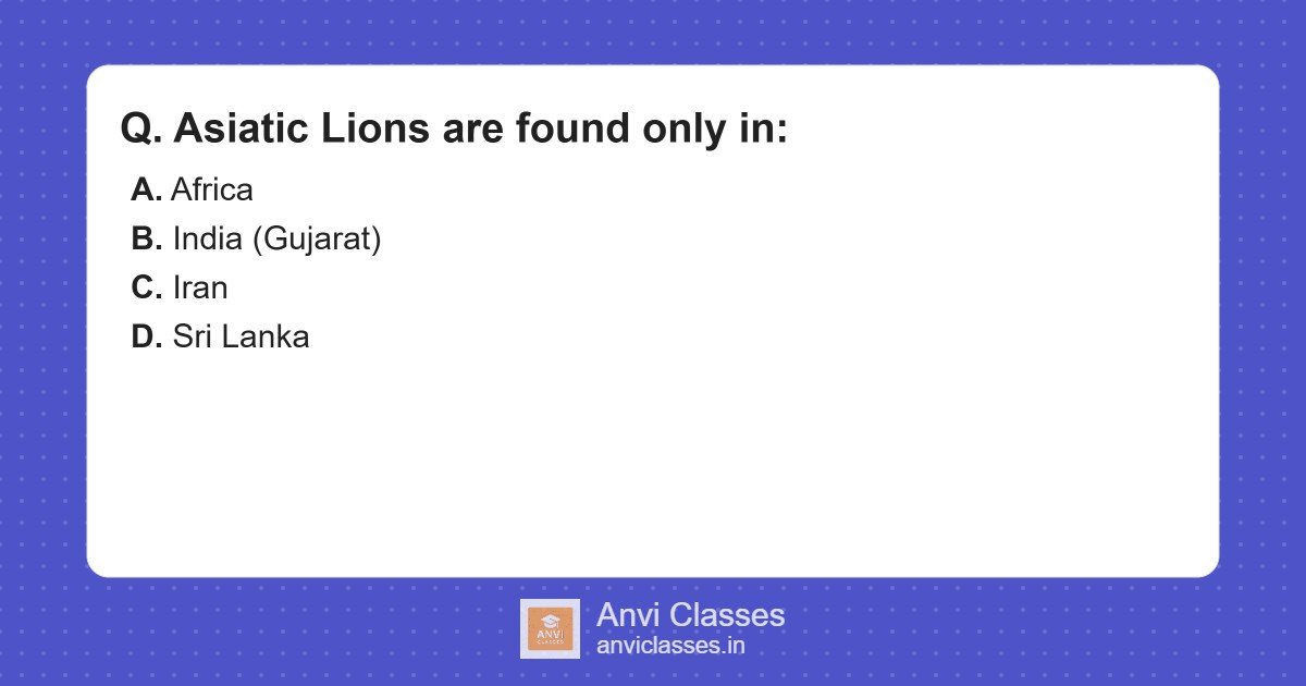 Asiatic Lions Exclusive Habitat
