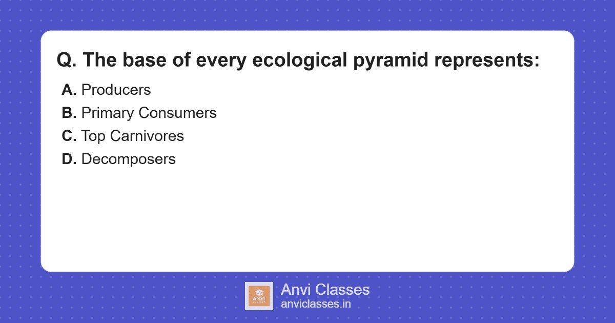 Base of Ecological Pyramids