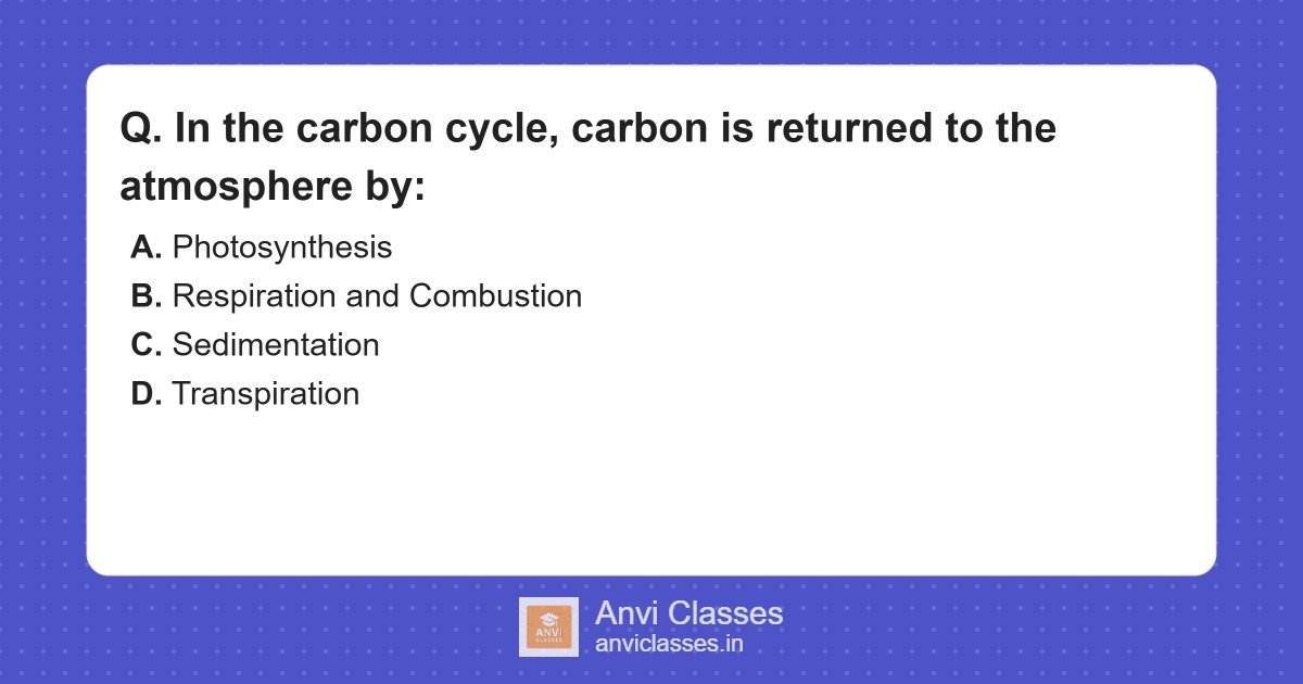 Carbon Cycle: Respiration & Combustion