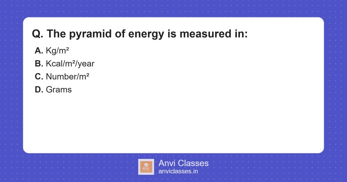 Energy Pyramid Measurement Units