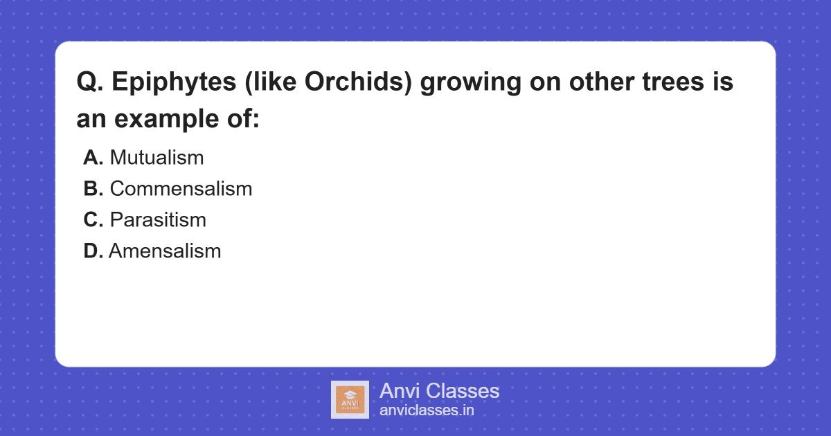 Epiphytes & Commensalism in Ecosystems