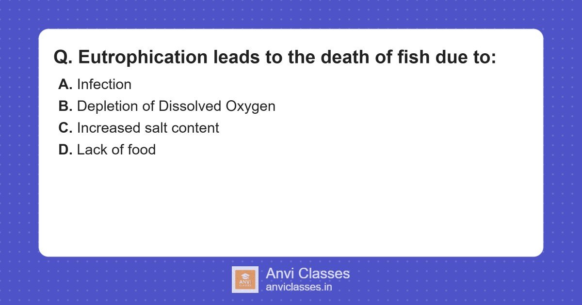 Eutrophication Effects: Fish Death and Oxygen Depletion