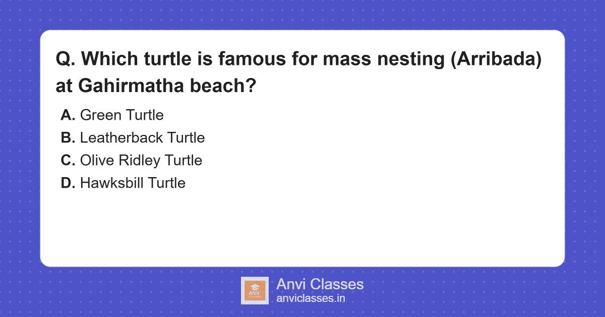 Gahirmatha Beach Mass Nesting Turtle
