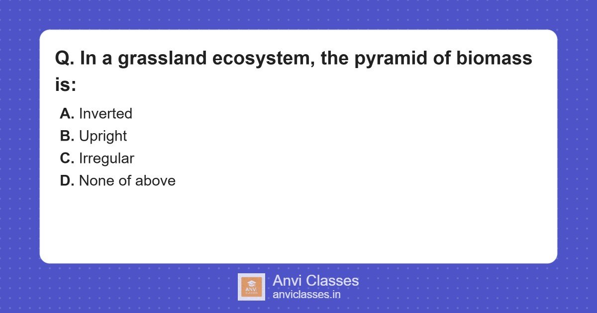 Grassland Biomass Pyramid: Upright