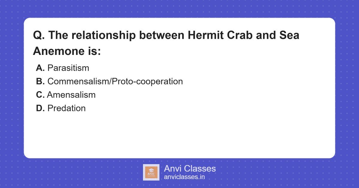 Hermit Crab & Sea Anemone Relationship: Commensalism