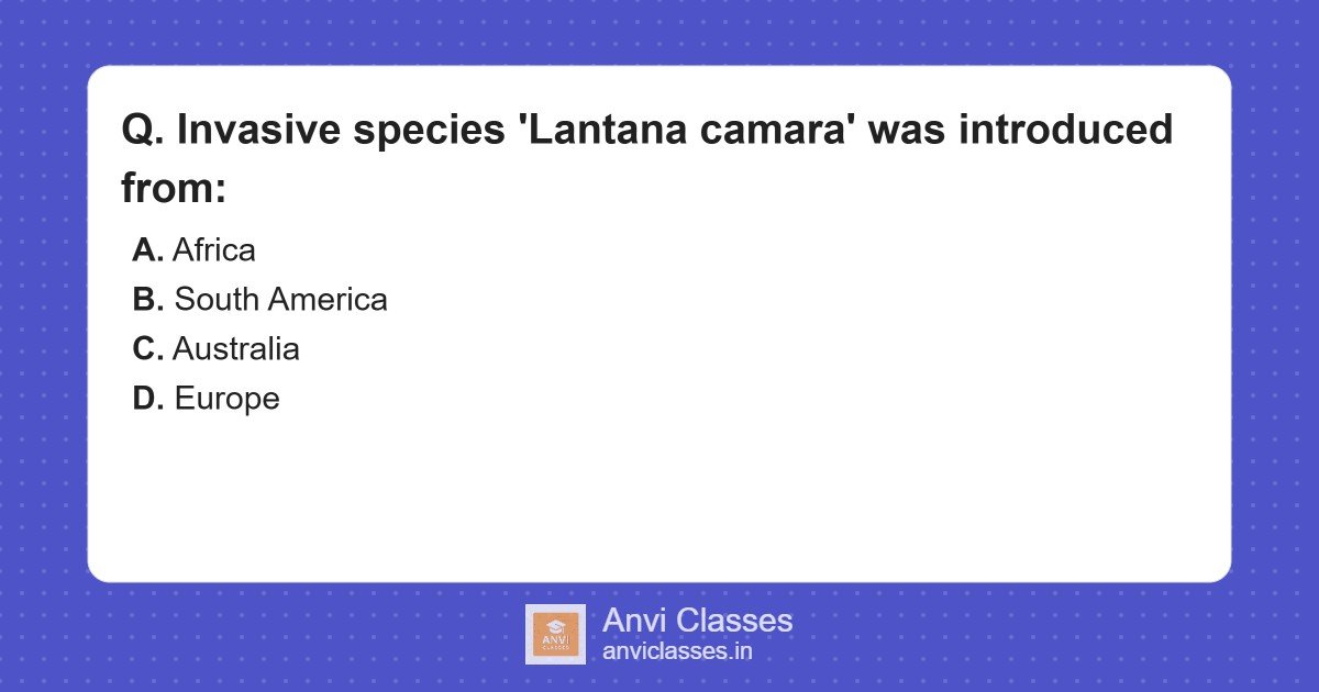Lantana camara Origin