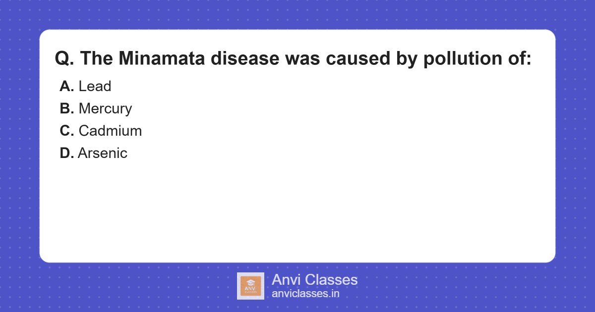 Minamata Disease: Mercury Pollution Impact