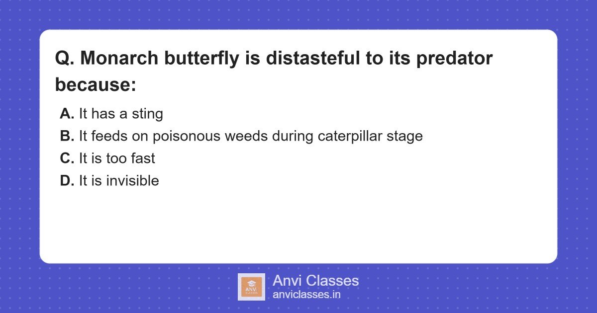 Monarch Butterfly’s Defense Mechanism