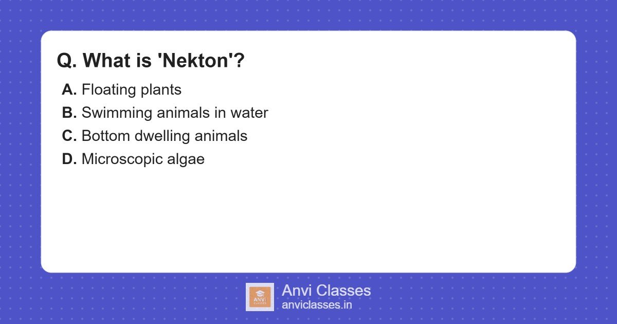 Nekton Definition: Swimming Aquatic Animals