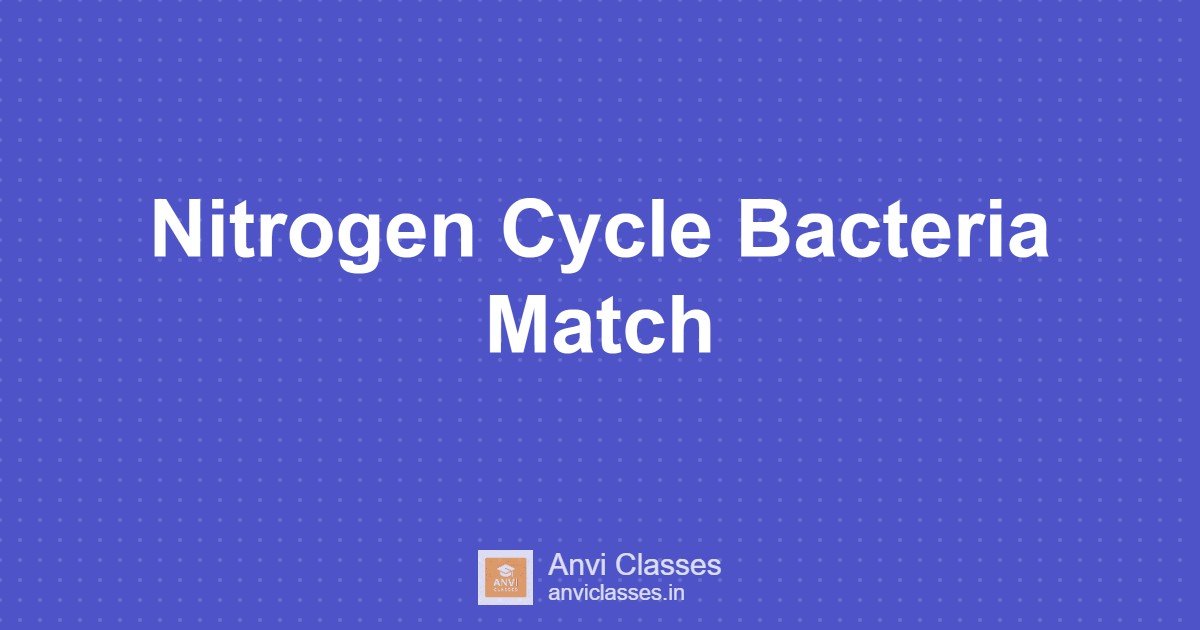 Nitrogen Cycle Bacteria Match
