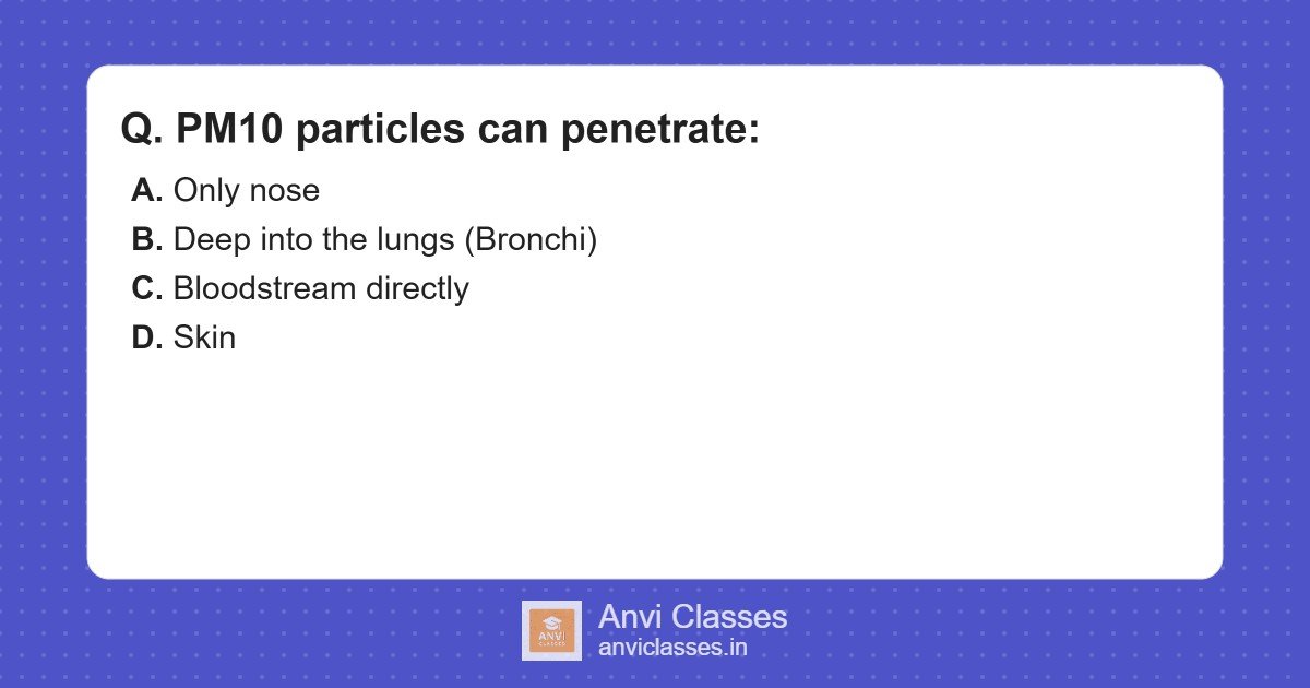 PM10 Particles Penetration in Human Body
