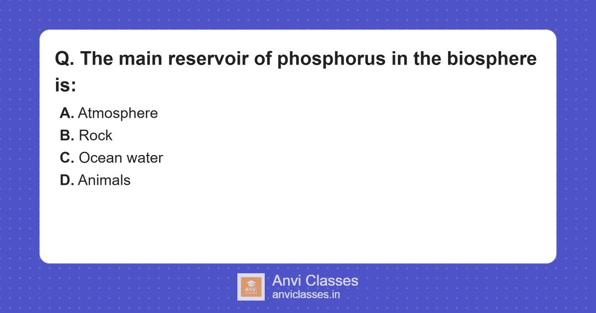 Phosphorus Reservoir in Biosphere: Rock