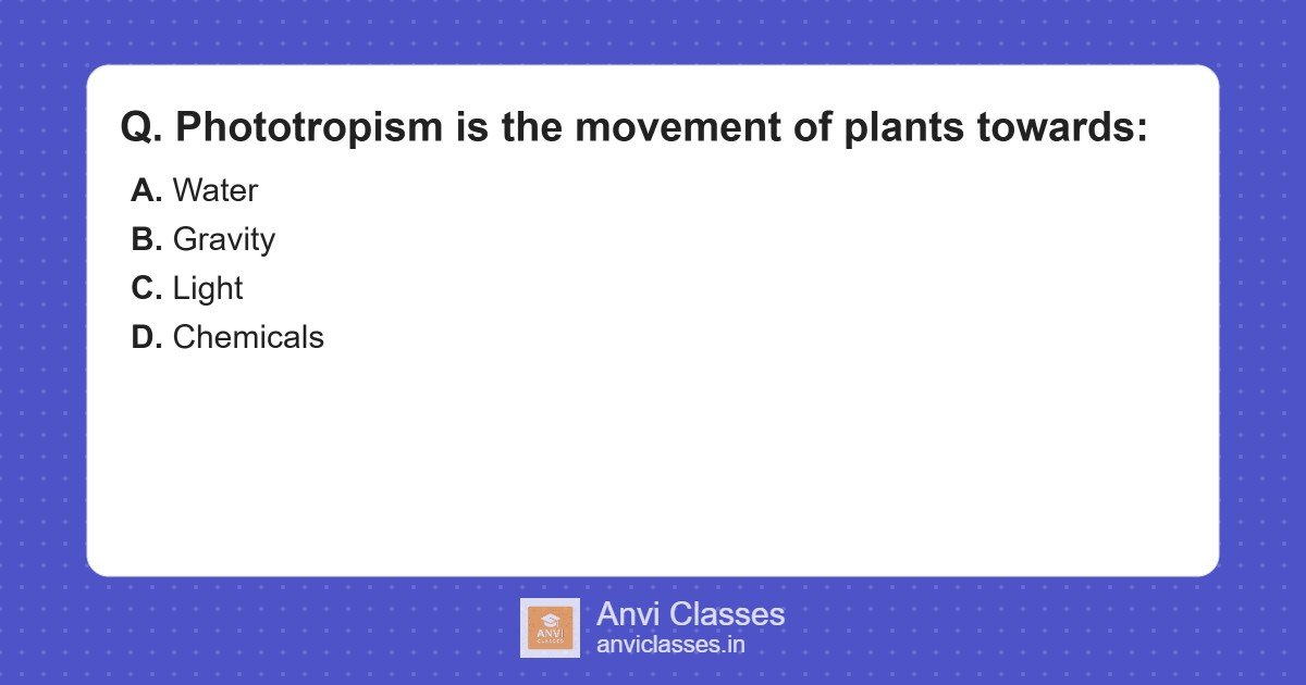 Phototropism: Plant Movement Towards Light