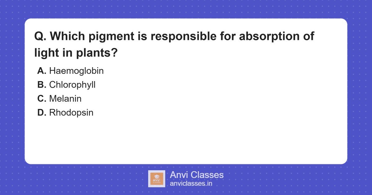 Plant Light Absorption: Role of Chlorophyll Pigment