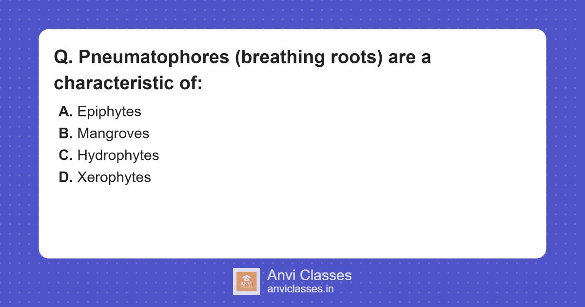 Pneumatophores: Mangrove Adaptations
