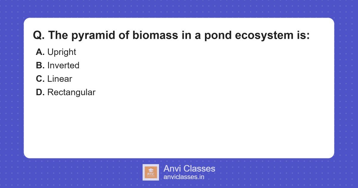 Pond Ecosystem Biomass Pyramid: Inverted Structure