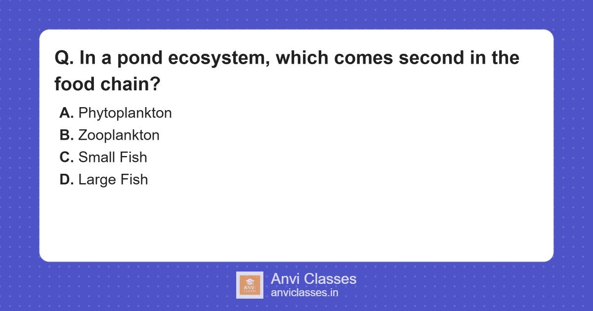 Pond Ecosystem Food Chain Sequence