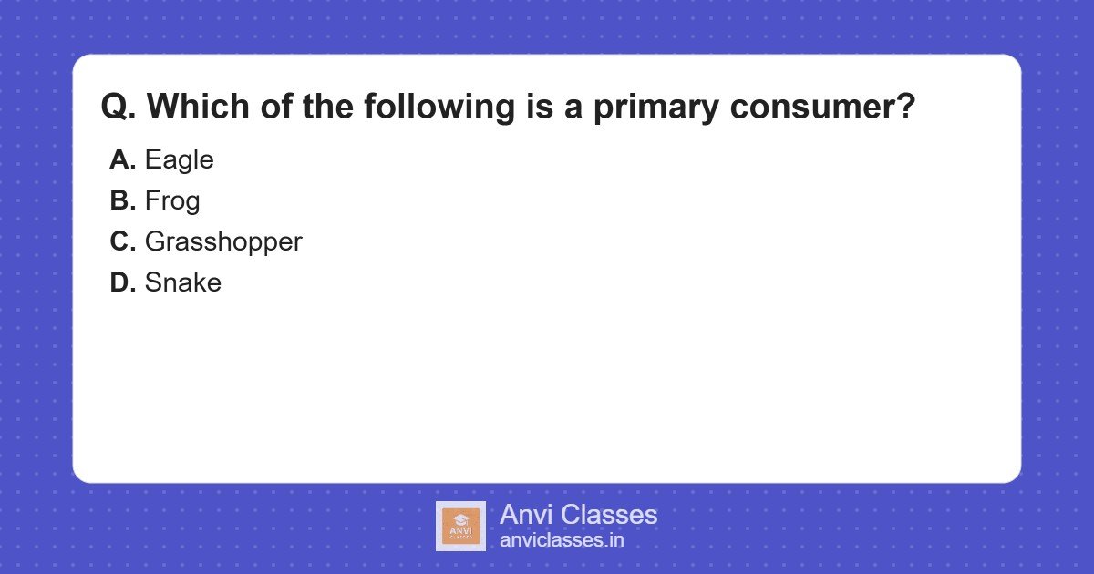 Primary Consumer Identification