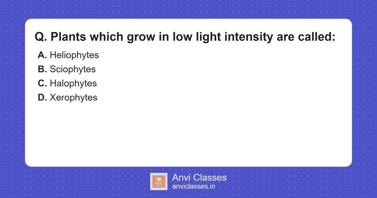 Sciophytes: Plants for Low Light Conditions