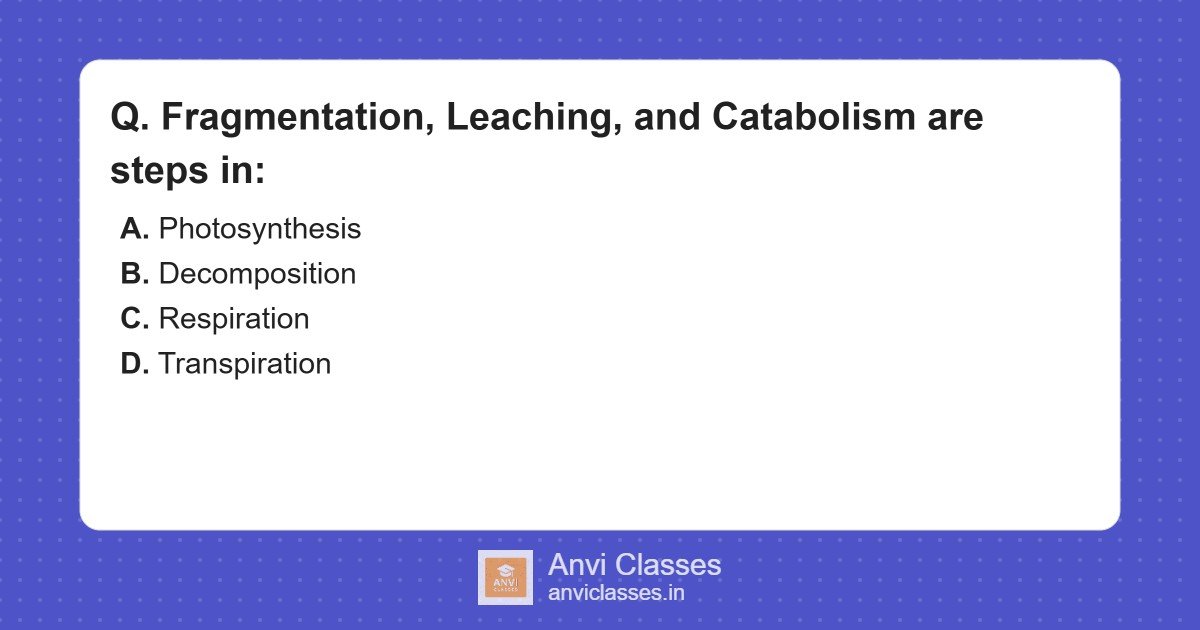 Steps of Decomposition Process