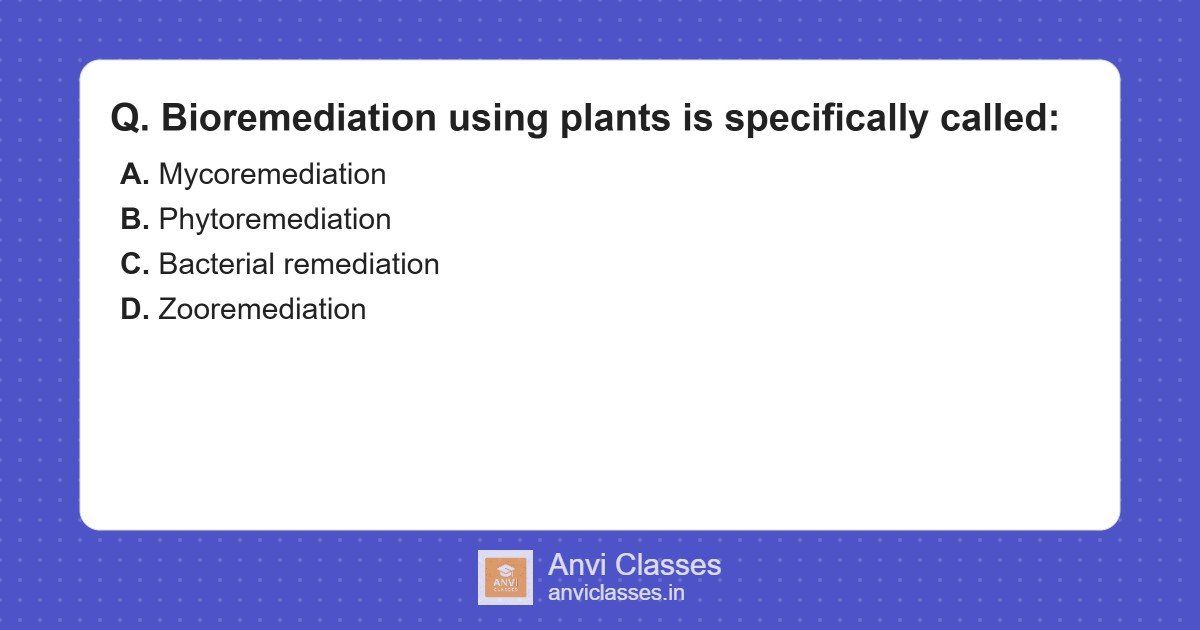 Term for Bioremediation Using Plants