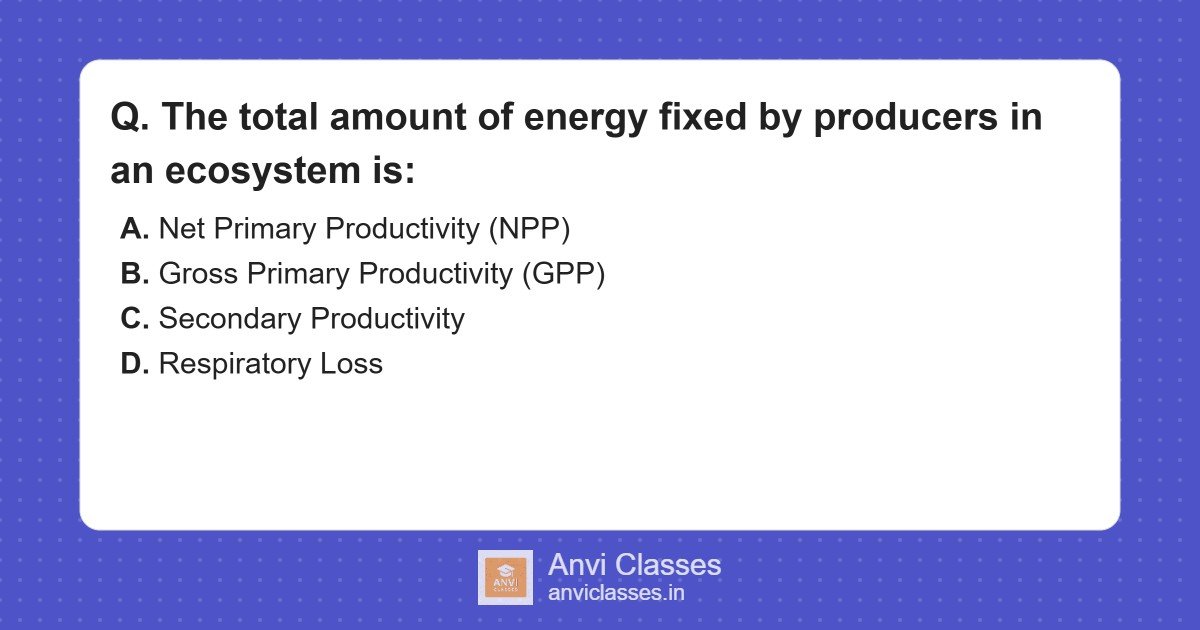 Total Energy Fixed by Producers