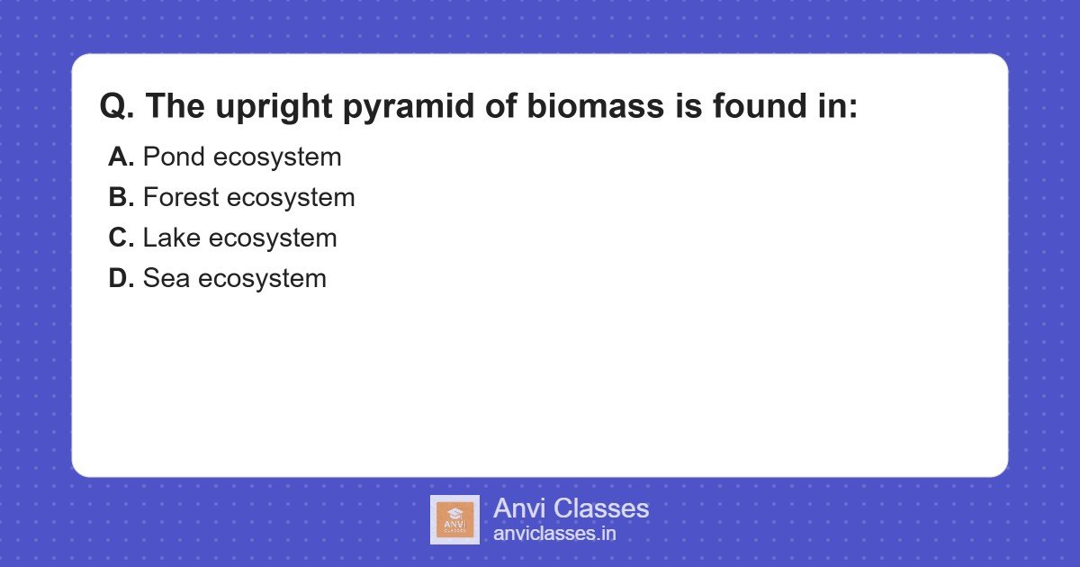 Upright Pyramid of Biomass Location
